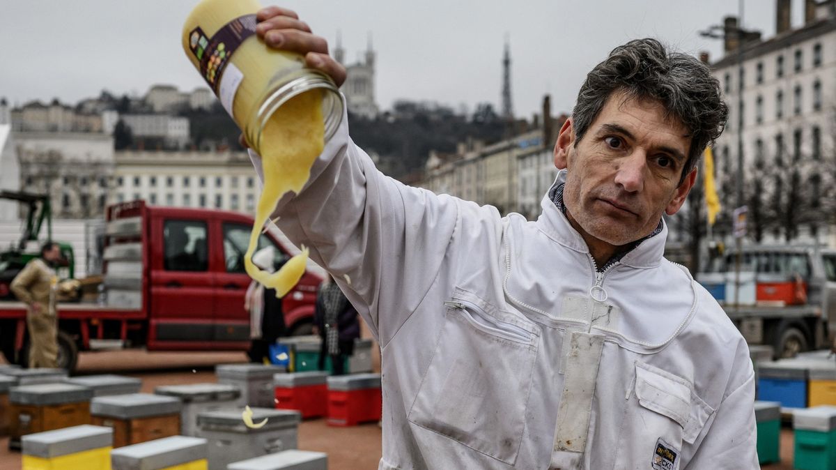 Ve Francii po zemědělcích stávkují včelaři, do Lyonu přivezli stovky úlů